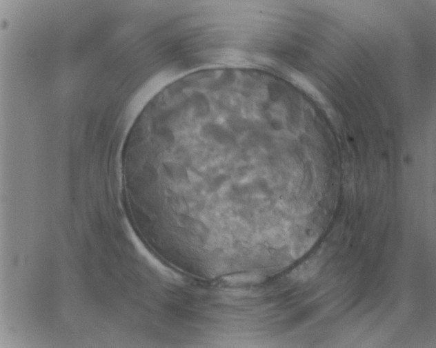 X0000067391479200604131919