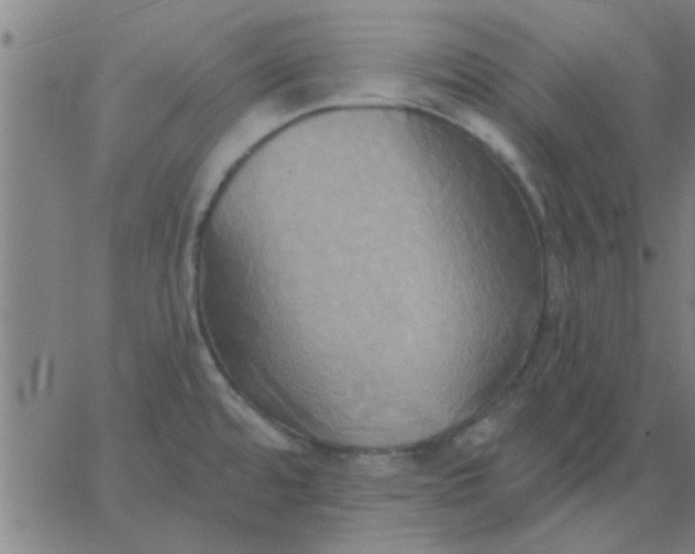 X0000067391480200604131919