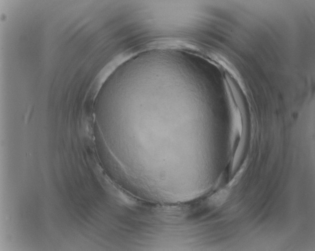 X0000067391481200604131919