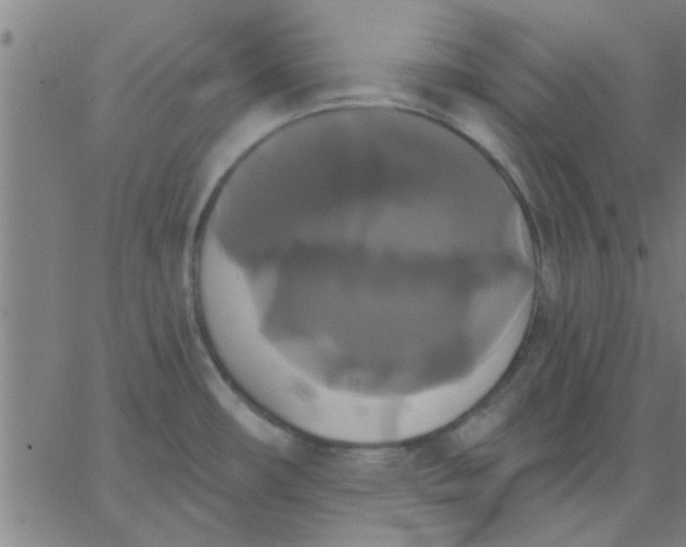 X0000067391482200604131919