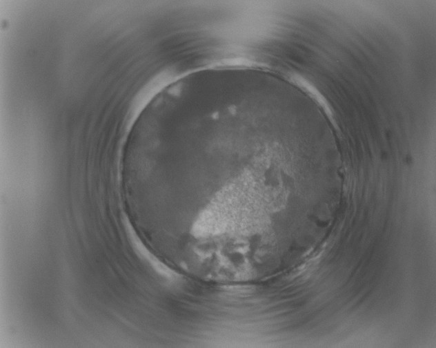 X0000067391483200604131919