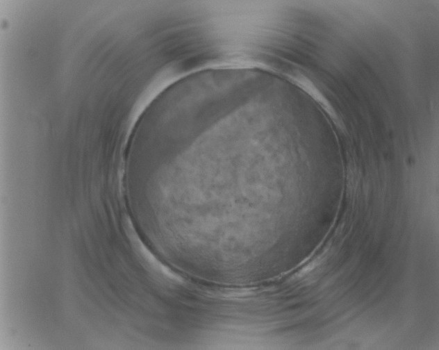 X0000067391484200604131919