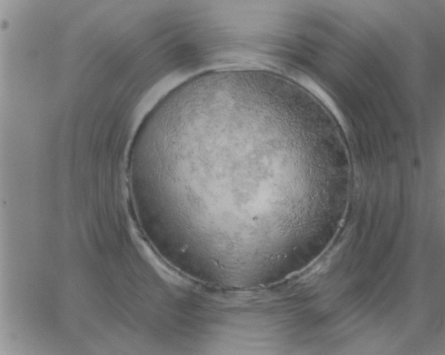 X0000067391485200604131919