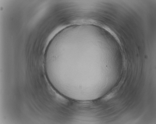 X0000067391486200604131919