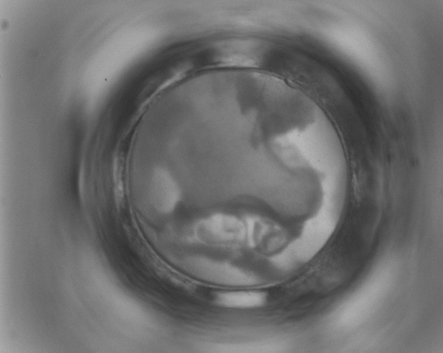 X0000067391487200604131919