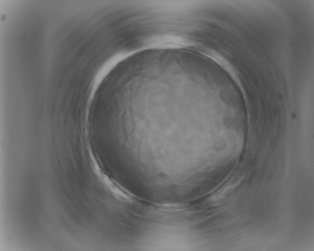 X0000067391488200604131919