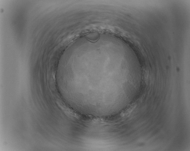 X0000067391489200604131918