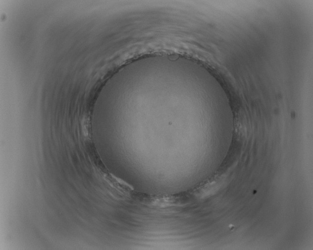 X0000067391490200604131918