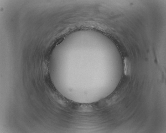 X0000067391491200604131918