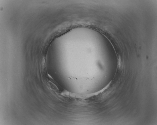 X0000067391492200604131918