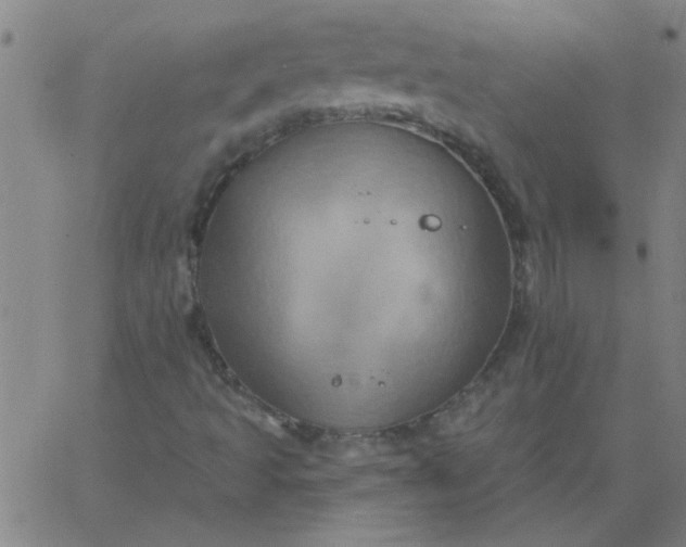 X0000067391493200604131918