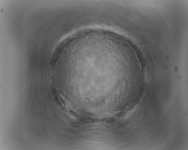 X0000067391494200604131918