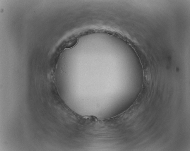 X0000067391495200604131918