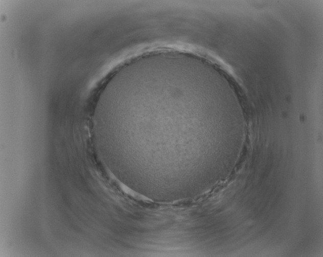 X0000067391496200604131918