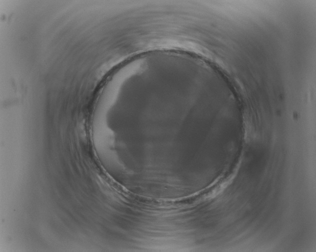 X0000067391497200604131918