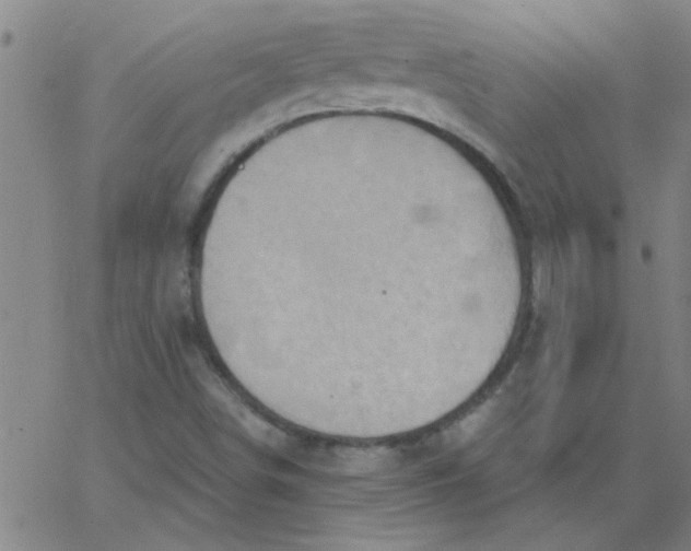 X0000067391498200604131918