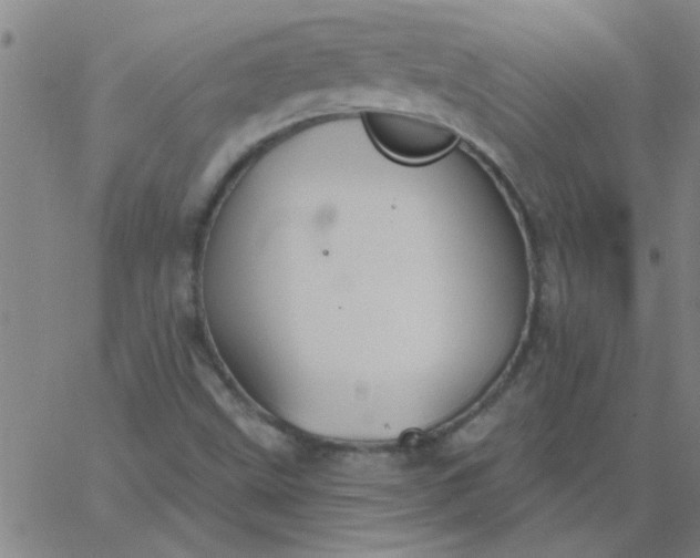 X0000067391499200604131918