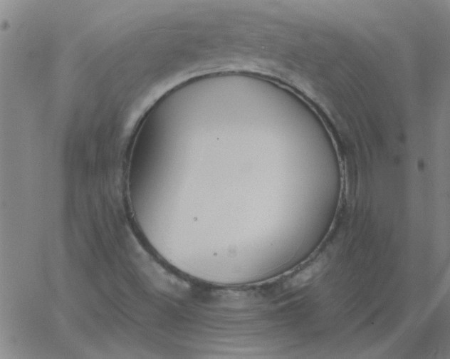 X0000067391500200604131918