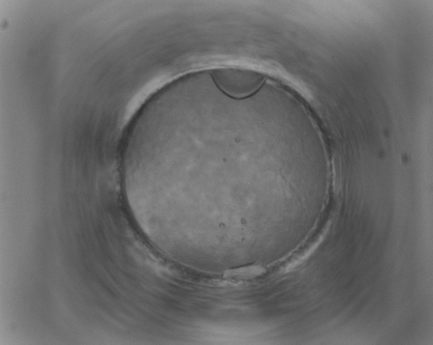 X0000067391501200604131918