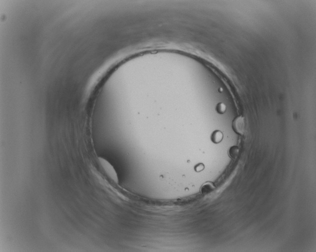 X0000067391502200604131918