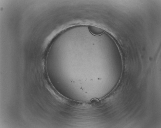 X0000067391503200604131918