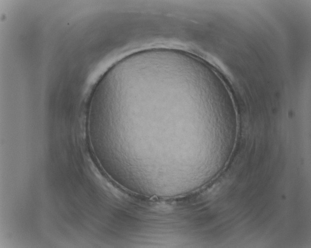 X0000067391504200604131918