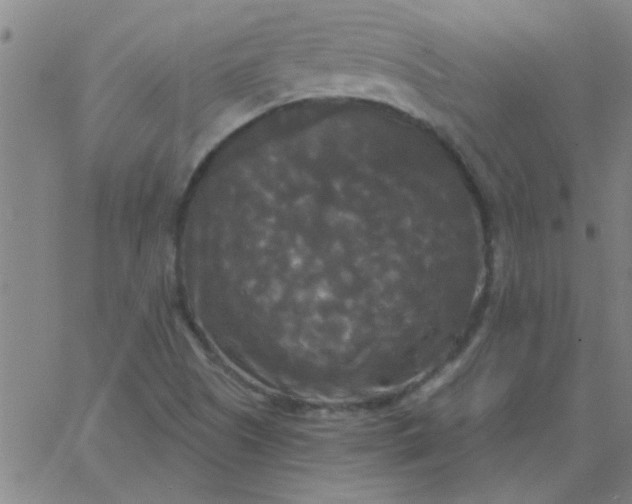 X0000067391505200604131918