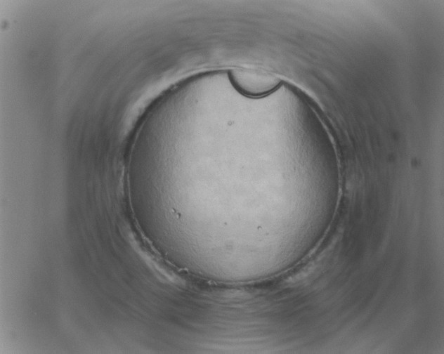 X0000067391507200604131918