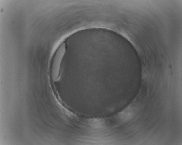 X0000067391508200604131918