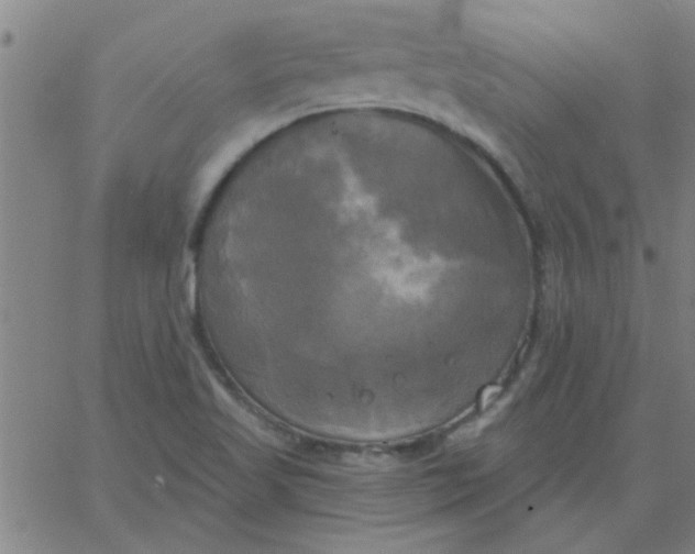 X0000067391509200604131918