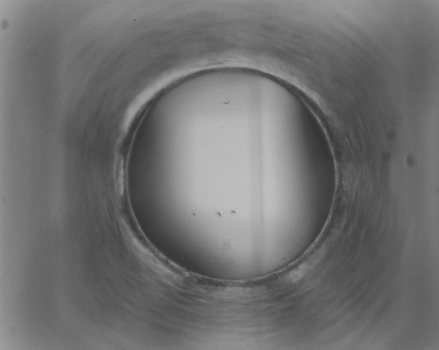 X0000067391510200604131918