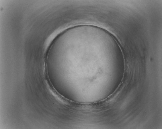 X0000067391511200604131919