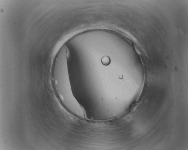 X0000067391512200604131919