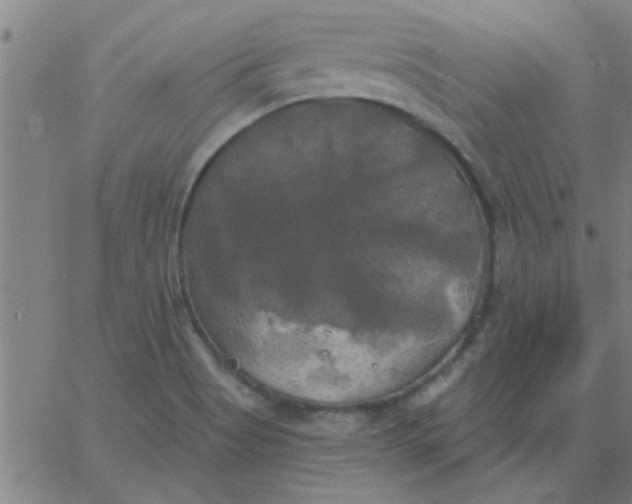 X0000067391513200604131919