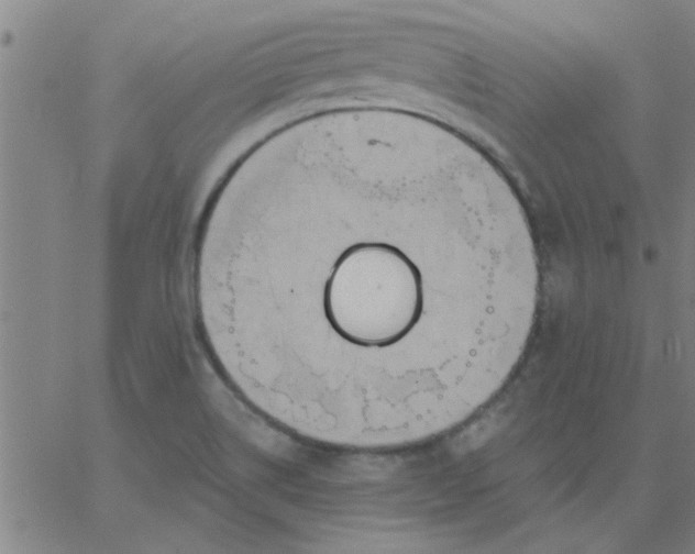 X0000067391514200604131919