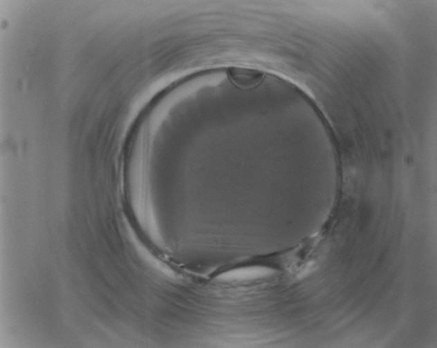 X0000067391515200604131919