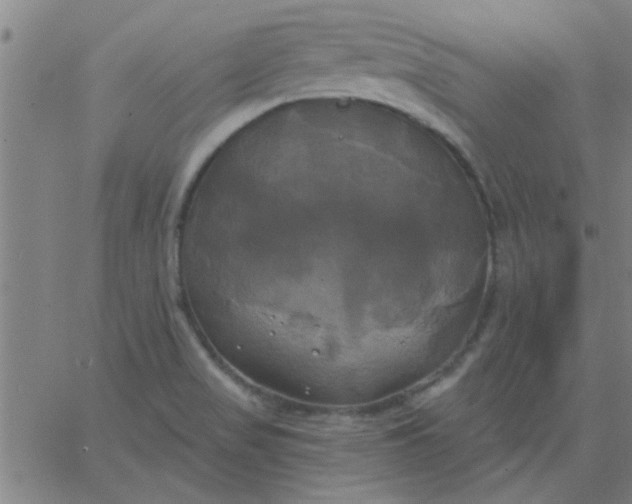 X0000067391517200604131919