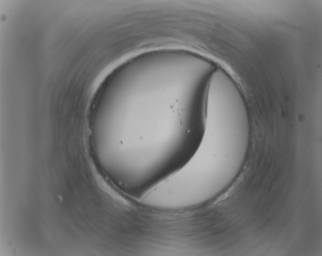 X0000067391518200604131919