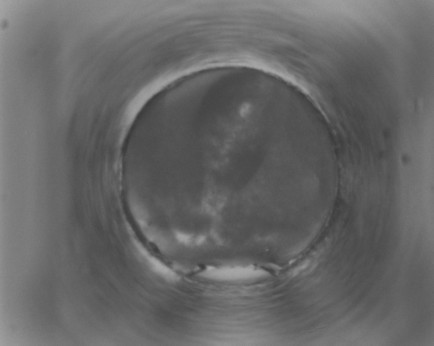 X0000067391519200604131919