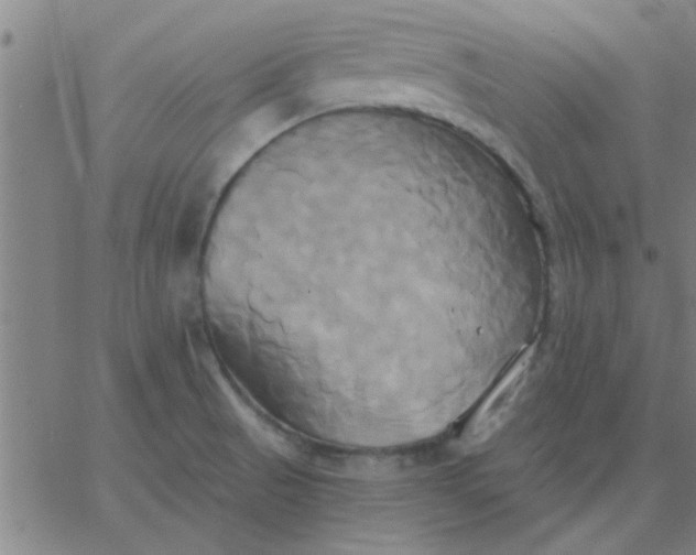 X0000067391521200604131919