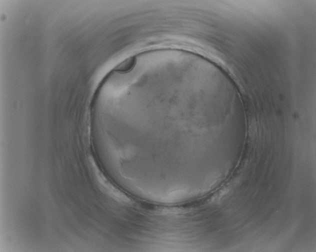 X0000067391522200604131919