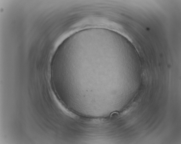 X0000067391523200604131919