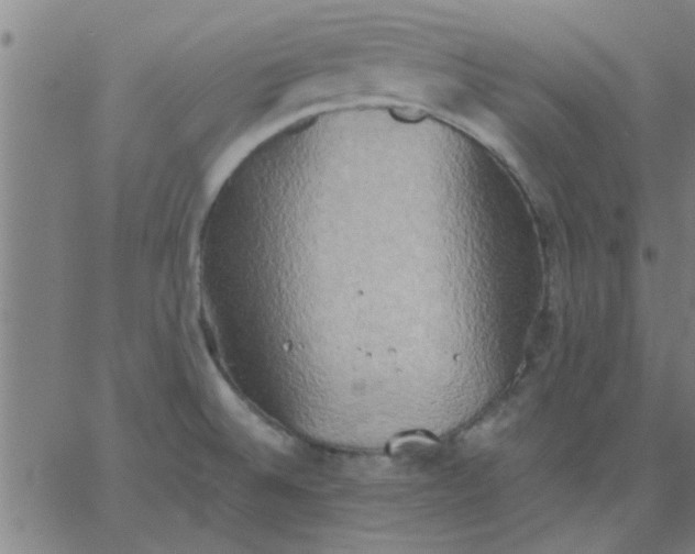 X0000067391524200604131919