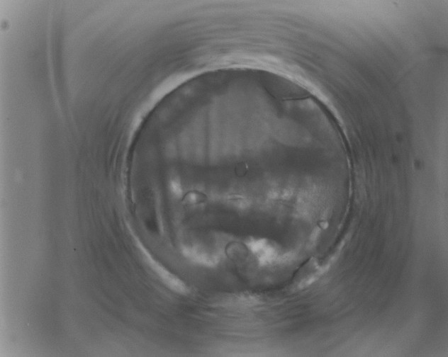 X0000067391525200604131919