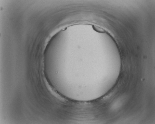 X0000067391526200604131919