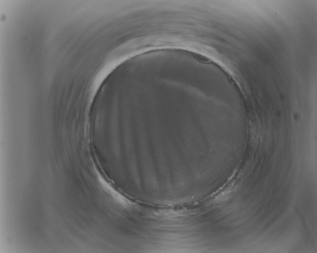 X0000067391527200604131919