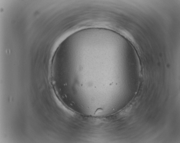 X0000067391528200604131919