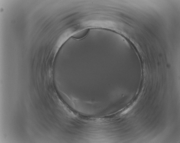 X0000067391529200604131919