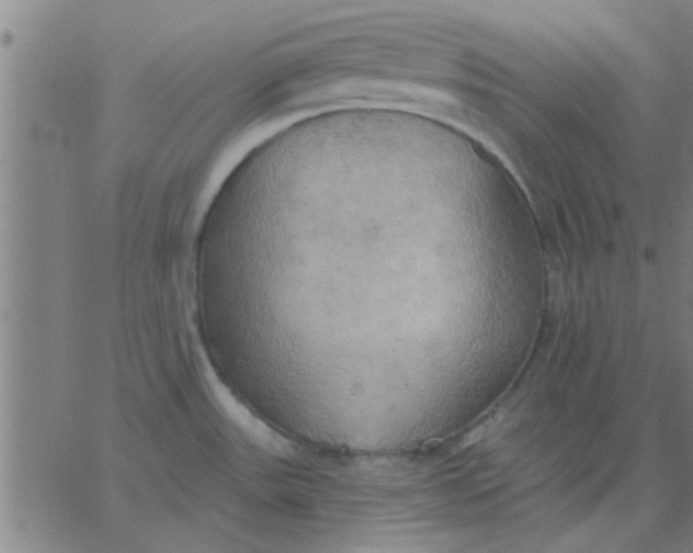 X0000067391531200604131919