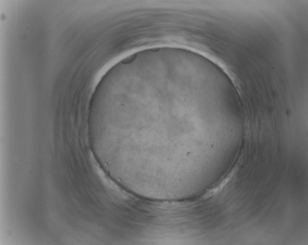 X0000067391534200604131919